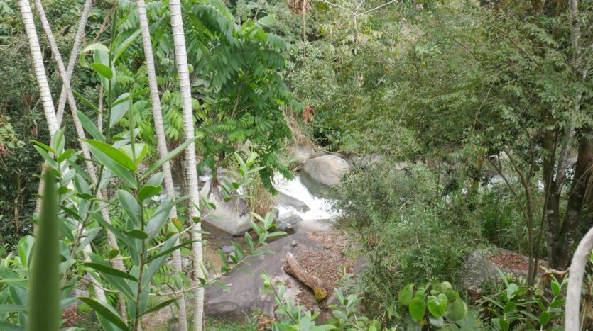 Restaurant & Organic Store – San Gerardo de Rivas – Lease Transfer