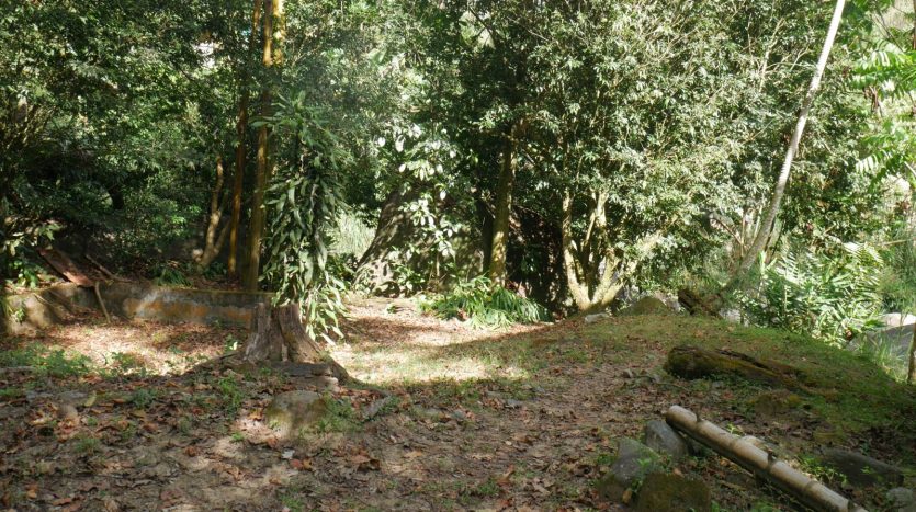 Restaurant & Organic Store – San Gerardo de Rivas – Lease Transfer