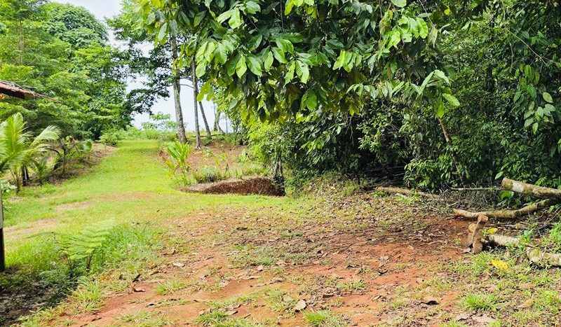 Bahia Chal, Osa: Spectacular 28.9 Hectare Property – Across from Kunken Lodge
