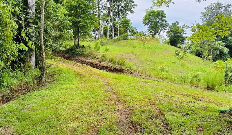 Bahia Chal, Osa: Spectacular 28.9 Hectare Property – Across from Kunken Lodge