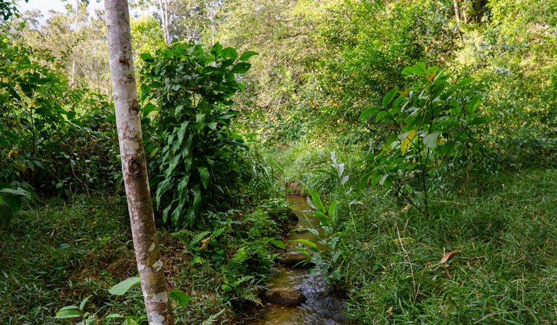 Newly Completed, American-standard Home