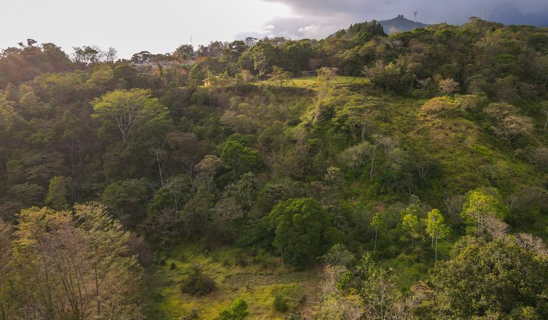 Newly Completed, American-standard Home